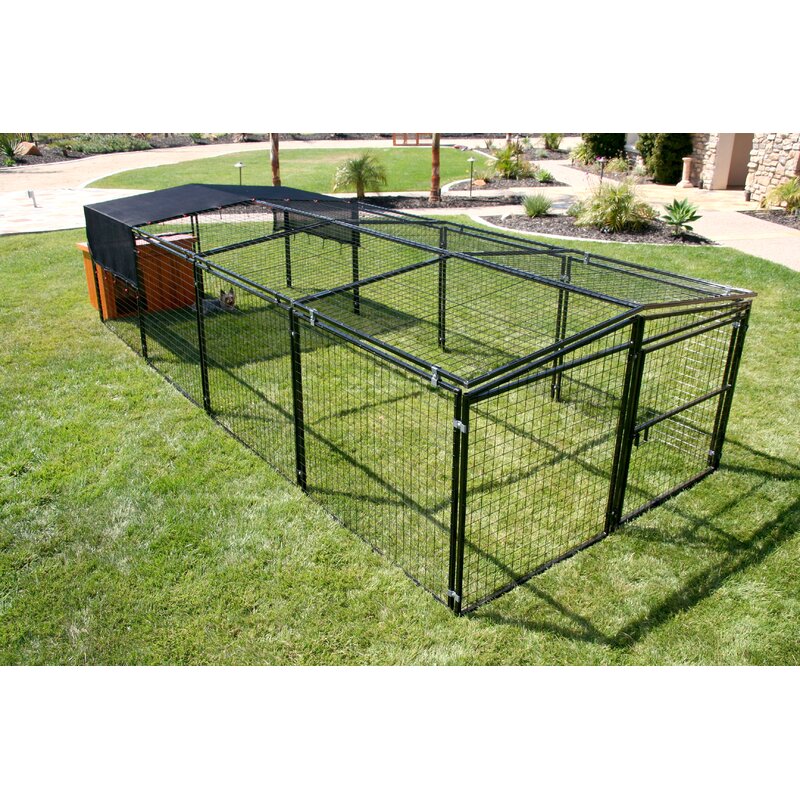 Tucker Murphy Pet Laplant Welded Wire Chicken Run Extension Wayfair.ca